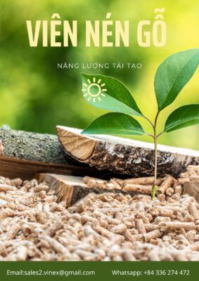 Viên nén gỗ - nguồn năng lượng tái tạo