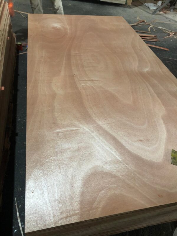 What is Okoume Plywood? Careful when choosing Okoume plywood VINEXCO