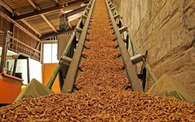dây chuyền sản xuất viên nén gỗ