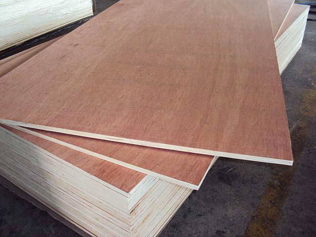Specifications of bintangor plywood