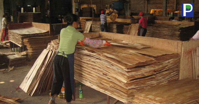 Vietnam Plywood Export Market