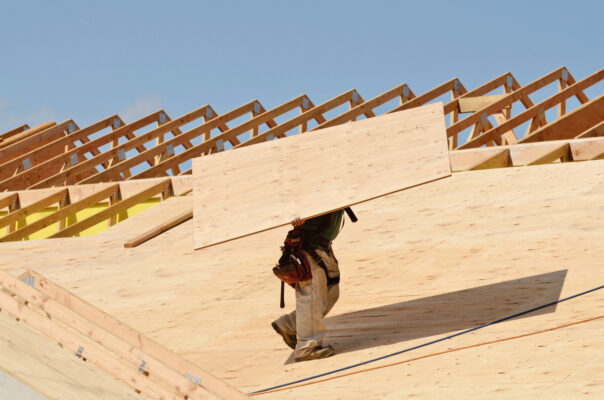 Exporting Plywood to the EU