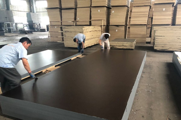 Film faced formwork plywood production process