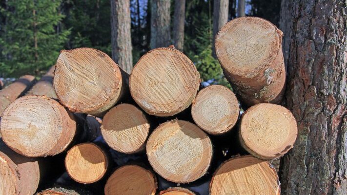 Chemicals in timber: REACH