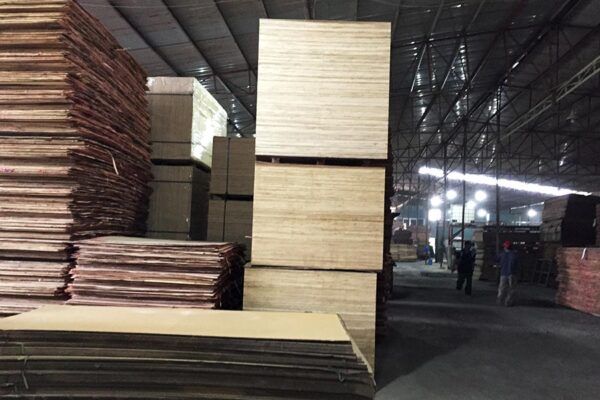 Vietnam Plywood Export Market