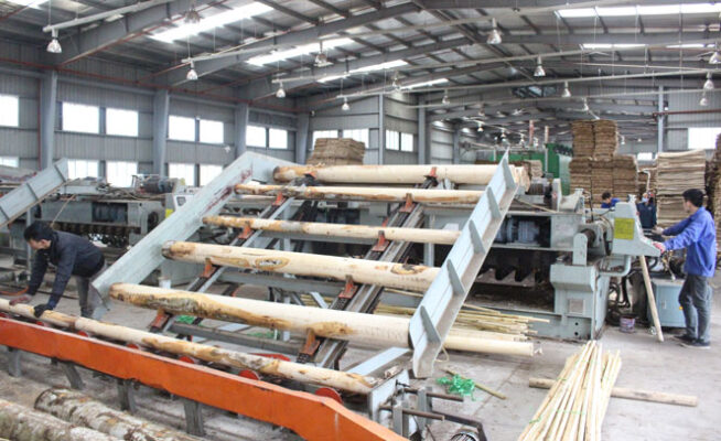 Bintangor plywood production materials are carefully selected