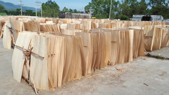 Vietnam Core Veneer: Acacia Veneer air-drying for the plywood manufacturing